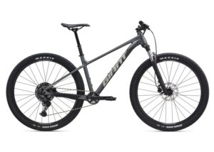 GIANT TALON 29 1 (2026)