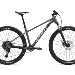 GIANT TALON 29 1 (2026)