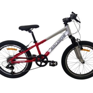 Avalanche Buzz 20" Boys/Girls